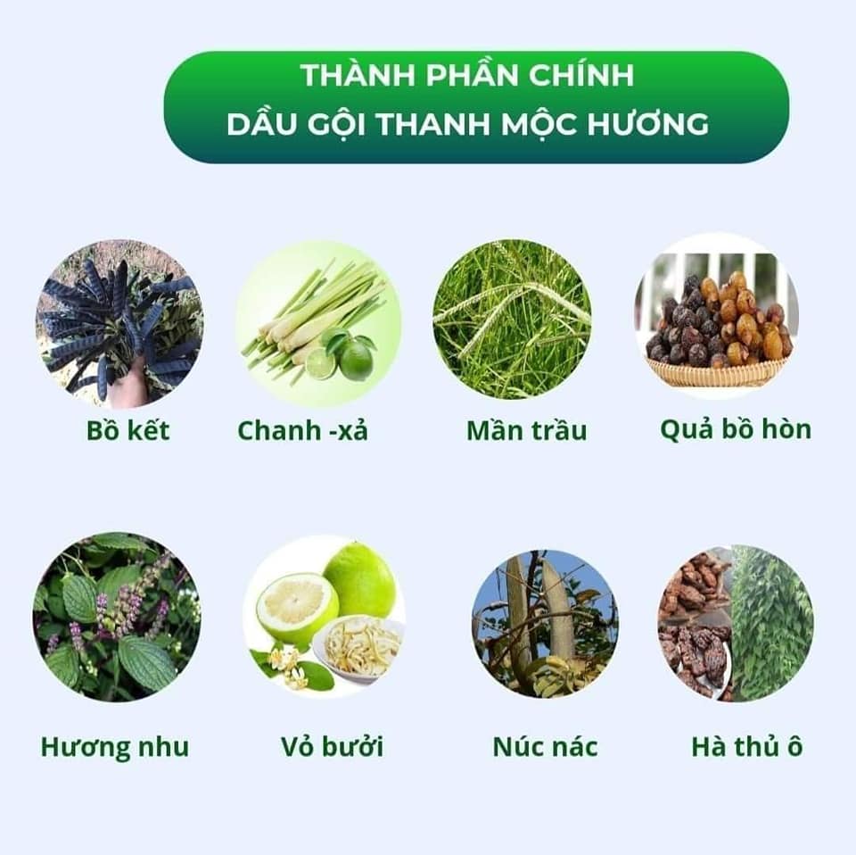 Thành phần dầu gội thảo dược Thanh Mộc Hương
