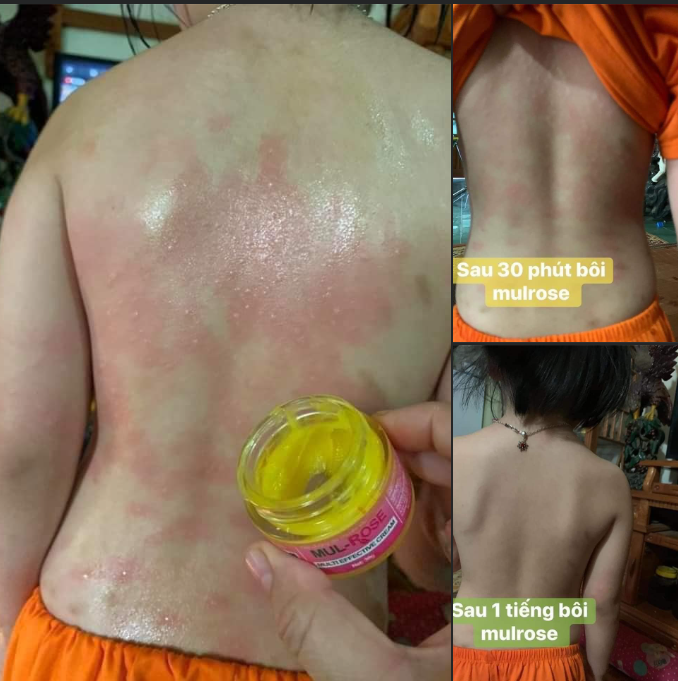 Đánh giá từ người dùng