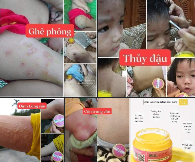 ánh giá từ người dùng