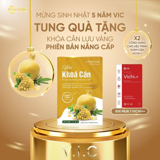 Vichi phiên bản nâng cấp khóa cân lựu vàng 2024 mới nhất