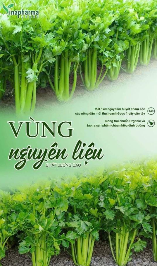 Vì sao bạn nên chọn Nước ép cần tây Green Beauty