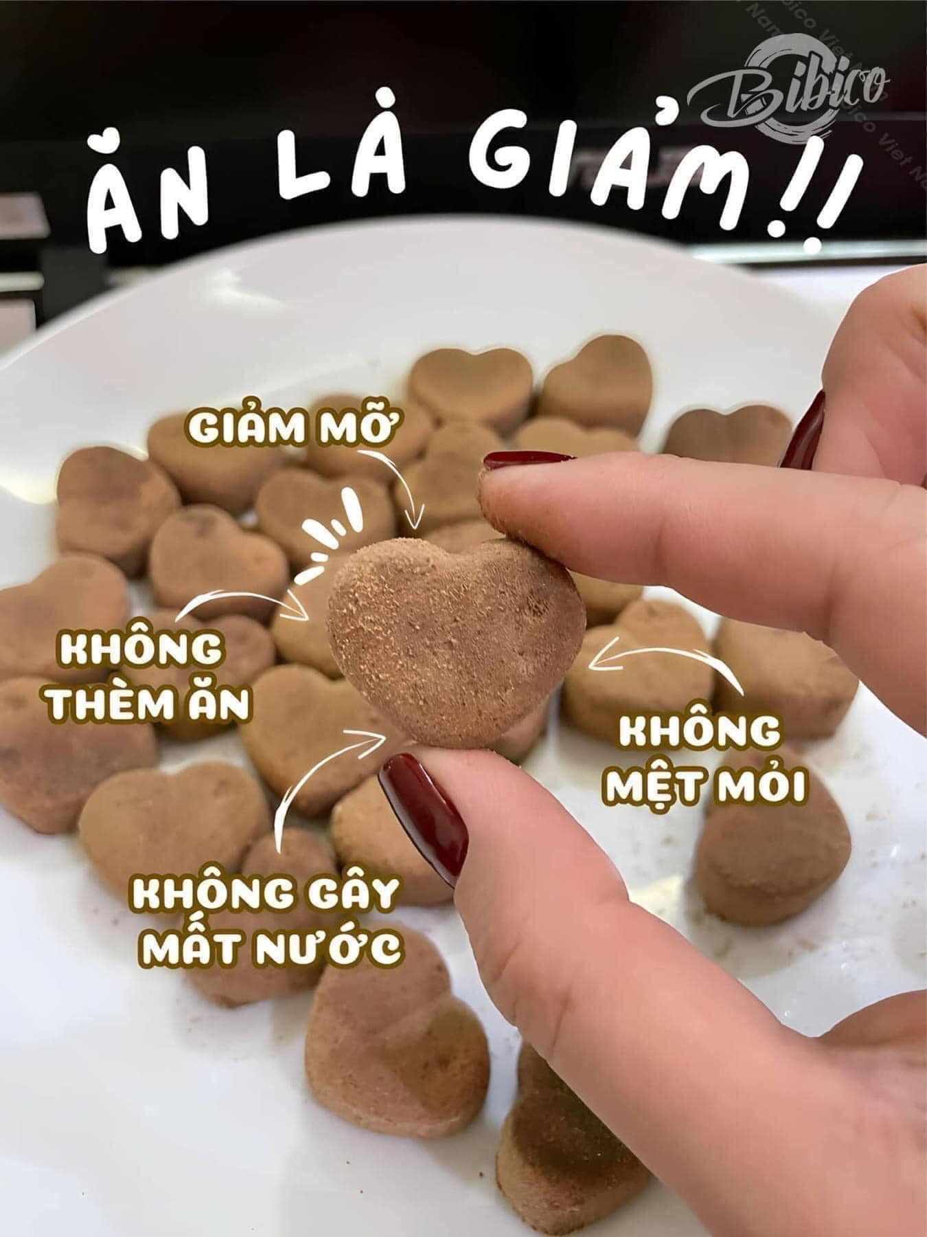 Thành phần chủ yếu của Kẹo Giảm Béo Đan Mạch Chokolade Vaegttab