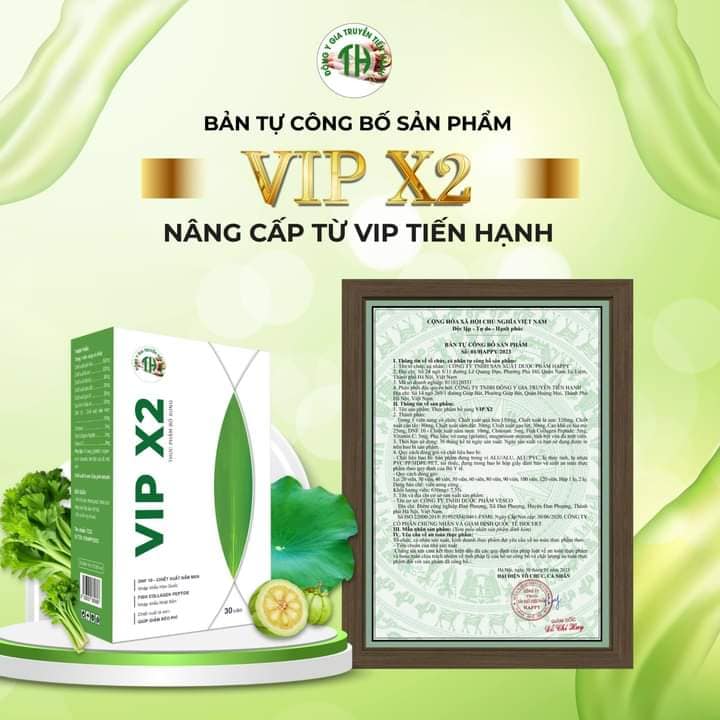 Vip X2 mẫu mới nâng cấp tự Vip Tiến Hạnh