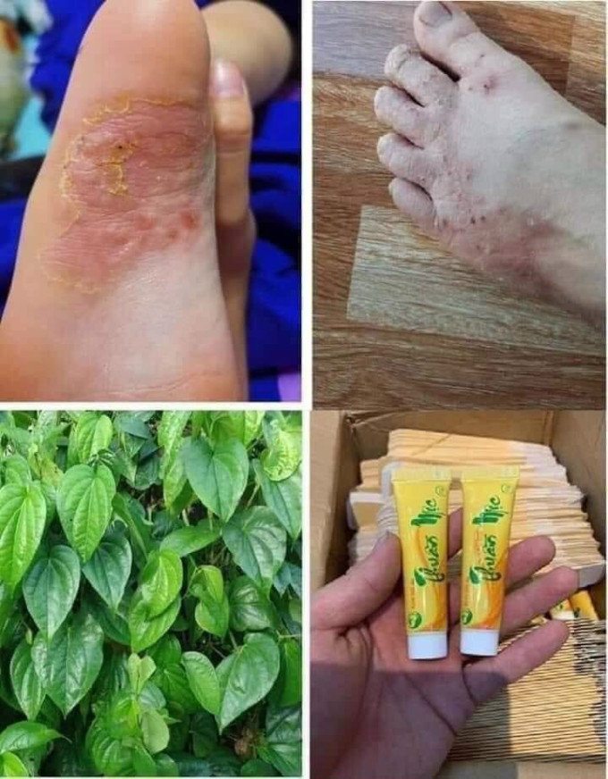Review hiệu quả từ khách hàng