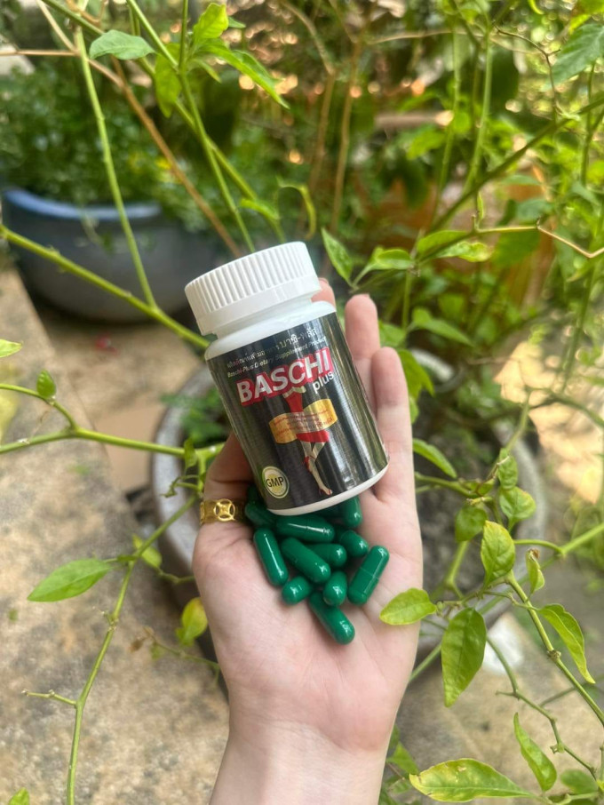 Hướng dẫn sử dụng